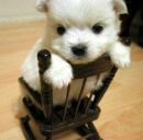 Вікуся Михальчук фотография #12 (источник - https://vk.com/id150740954)