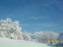 Іван Лембак фотография #34 (источник - https://vk.com/id40626263)