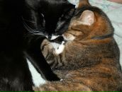 Фотография Малышевой Елены