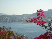 Just_ Me_angel фотография #14 (источник - https://vk.com/id79136792)