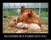 Ігор Тучапський фотография #41 (источник - https://vk.com/id54606116)