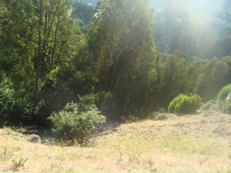 Дмитрий Евсюткин фотография #49