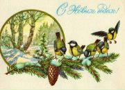 Фотография Герцик Светланы