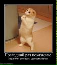 Ігор Зубенко фотография #24 (источник - https://vk.com/id1185620)