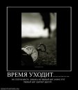Kirill Ripper фотография #36 (источник - https://vk.com/id6248017)