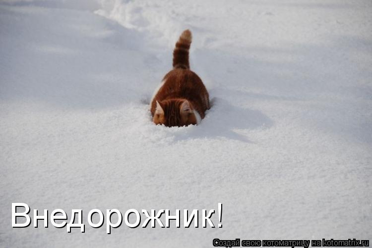 Дмитрий Агапов фотография #25