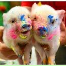 Саша Іваніцька фотография #6 (источник - https://vk.com/id139821811)