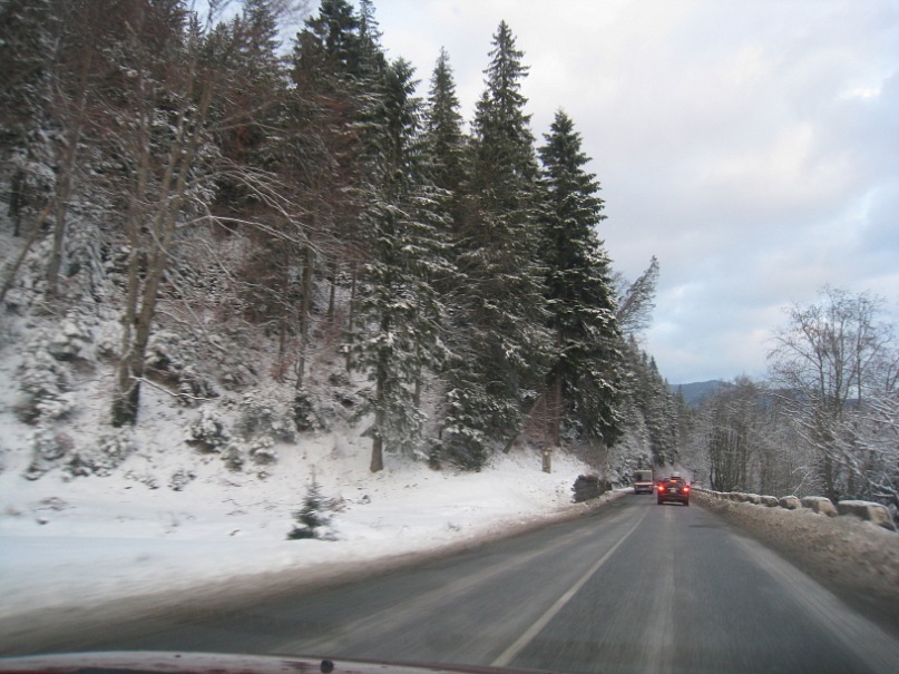 Dima Stecenko фотография #42