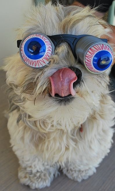 Дмитрий Никитин фотография #28