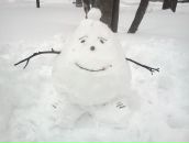 Фотография Павлова Евгения