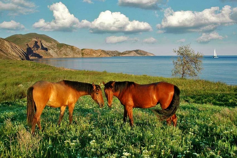 Любовь Деева фотография #41