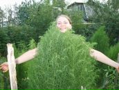 Фотография Шаймановой Юлии