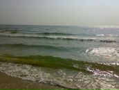 Олександр Баліцький фотография #31 (источник - https://vk.com/id85294302)