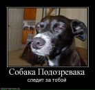 Фотография Бурцева Виталия