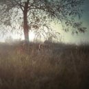 Inside Dancing фотография #5 (источник - https://vk.com/id5223891)