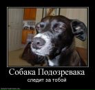 Фотография Нестеровича Кирилла