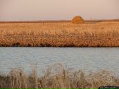 Илья Попов фотография #8 (источник - https://vk.com/id53763545)