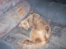 Дмитрий Пупышев фотография #21 (источник - https://vk.com/id2034551)