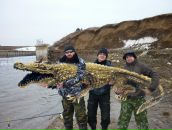 Александр Алешкин фотография #49 (источник - https://vk.com/id150549)