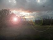 Фотография Lepp Alex