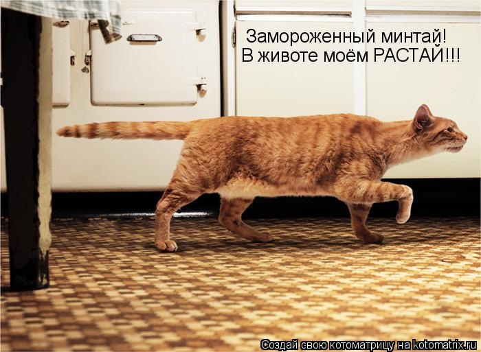 Сергей Карабиневич фотография #44