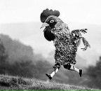 Фотография Сущевой Насти