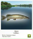 Вадім Цейко фотография #4 (источник - https://vk.com/id62605021)