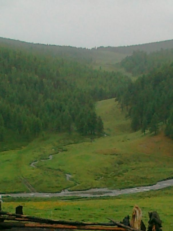 Шолбан Тумат фотография #8