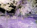Heart_of_stone BRUTAL DEATH фотография #45 (источник - https://vk.com/id58278193)