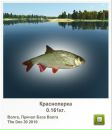 Іван Гнідець фотография #24 (источник - https://vk.com/id113923451)