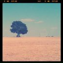 Игорь Хохлов фотография #5 (источник - https://vk.com/id512608)