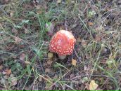 Фотография Титовой Людмилы