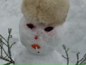 Фотография Кривошеиной Натальи