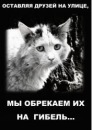Фотография Муртазиной Валерии