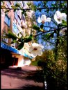 Ірина Малічовська фотография #28 (источник - https://vk.com/id51421294)