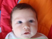 Фотография Швецов Роман