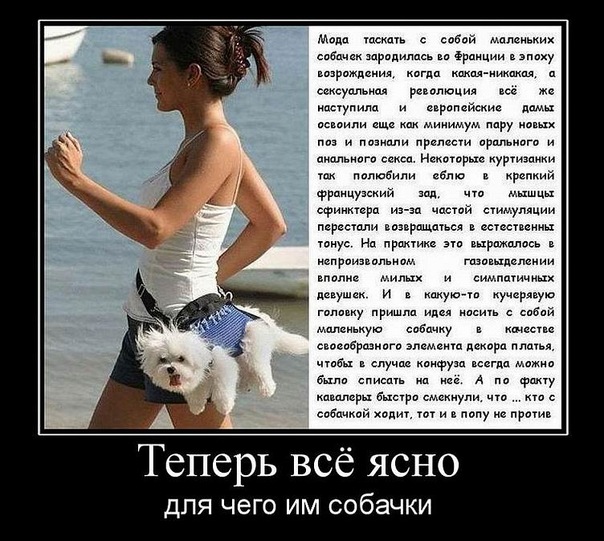 Дмитрий Ишков фото №36