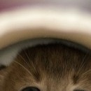 Юля Пічкар фотография #26 (источник - https://vk.com/id143598490)