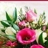 Діана Микитюк фотография #11 (источник - https://vk.com/id86808623)