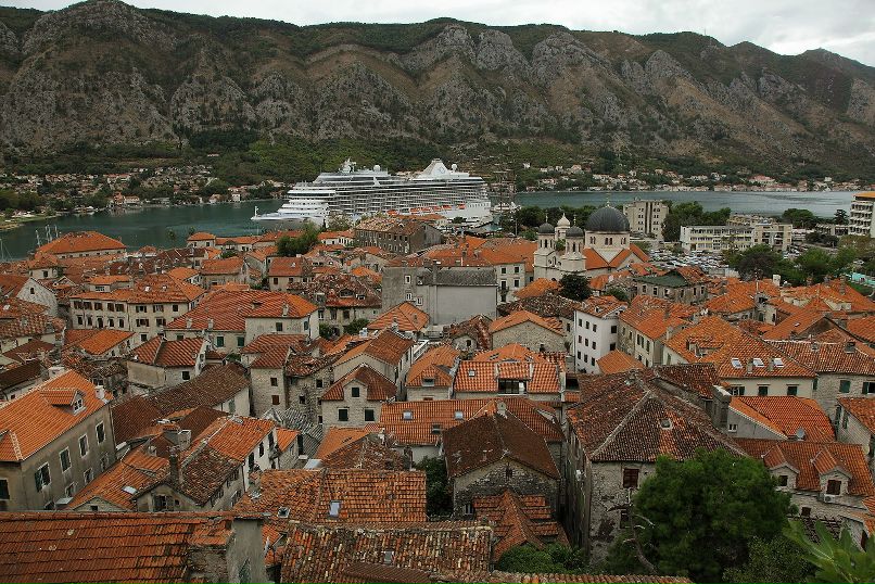 Дмитрий Старицын фотография #15