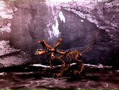 Виктор Назарет фотография #39 (источник - https://vk.com/id53760)