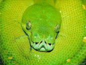 Фотография Кучерской Натальи