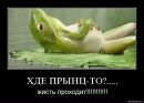 Фотография Рогович Елены