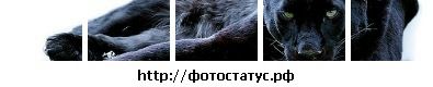 Nazar Андрушків фотография #2 (источник - https://vk.com/id33992617)