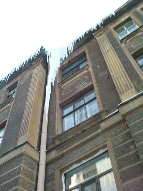 Цов Цов фотография #50