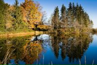 Фотография Von-Kurz Ygaryan