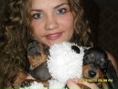 Фотография Колоскиной Анастасии