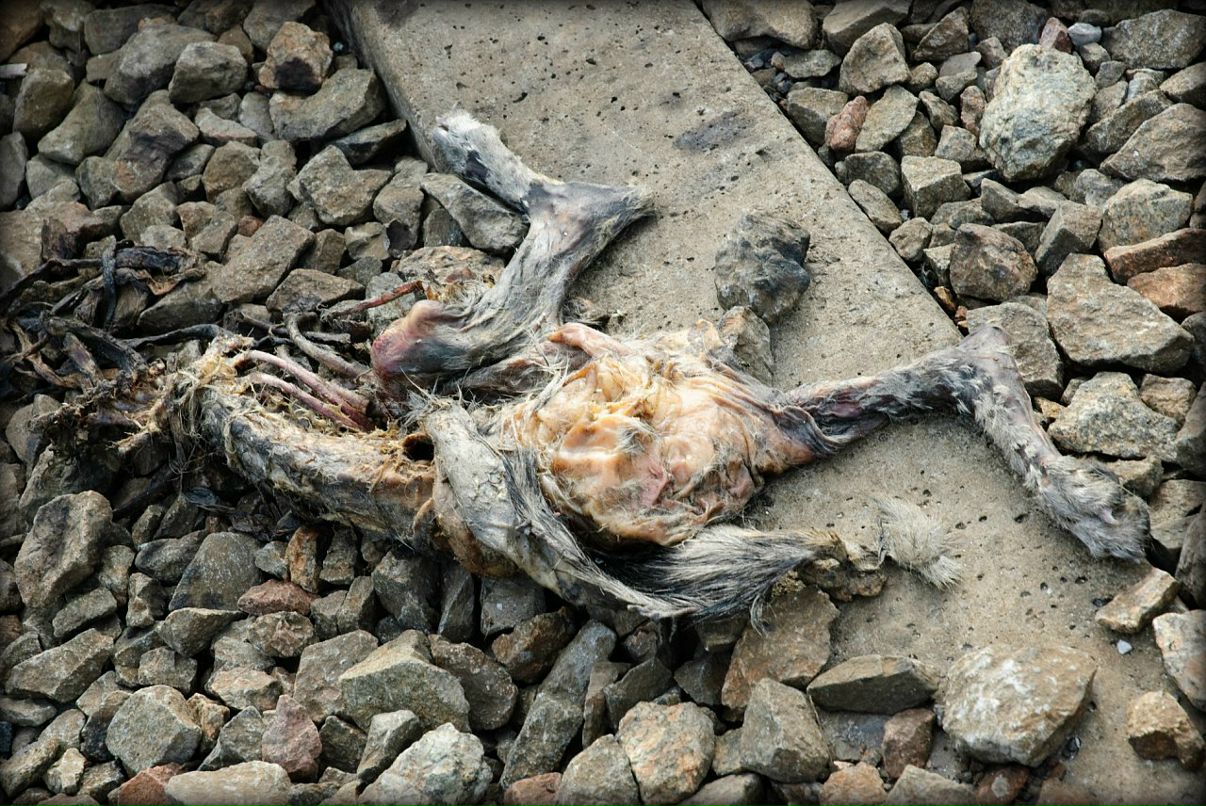 Max Bess фотография #33