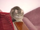 Олексій Байса фотография #13 (источник - https://vk.com/id136279893)