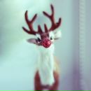 Фотография Сидоренко Оли